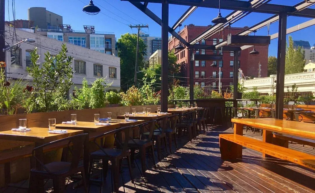 The rooftop deck at Terra Plata with garden planters and long communal tables